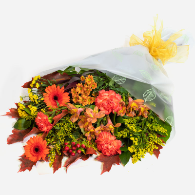 Autumn Gift - A clever creation combining only the finest and vibrant autumnal-shaded flowers. Send flowers that are perfect for the season with our Autumn Gift. 